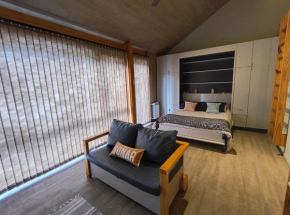 Departamento centrico SMA San Martin De Los Andes
